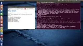 ns2 installation in ubuntu 12.04