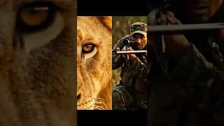 The Last Hunt &ndash; Hunters vs Lion#ytshort #lionhunt