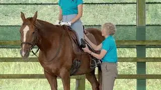 Rider Biomechanics Certification Programme