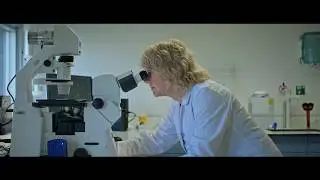Meet the NIOZ Department of Marine Microbiology and Biogeochemistry