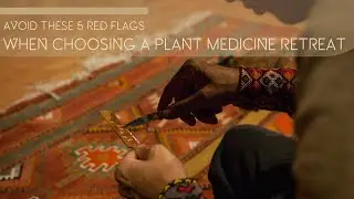 Avoid These 5 Red Flags When Choosing a Plant Medicine Retreat