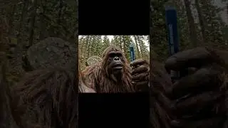 Bigfoot tries ozempic #funny #comedy #bigfoot #camping