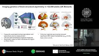 Clyde Francks - MULTI-LATERAL: Multi-level Integrative Analysis of Brain Lateralization for Language