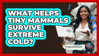 What Helps Tiny Mammals Survive Extreme Cold? - Epic World Record Holders