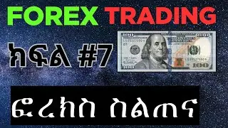 forex beginner Part 7: ፎሬክስ ትሬዲንግ | Birtat Forex Trading ብርታት ፎሬክስ ትሬድንግ