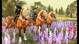 Flying the endless sky || Star Equestrian