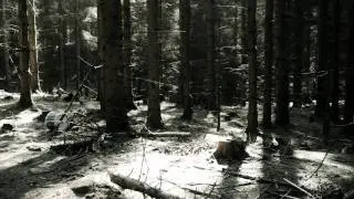 Golden Kanine-Climb official video