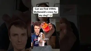 I Bought VIRAL McDonald&rsquo;s Crocs for my dog!