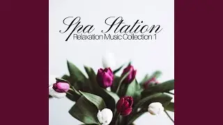 Spa Station