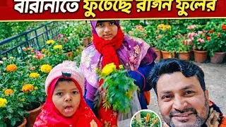 বারান্দাতে ফুলের বাগান 🌸 | Balcony Flower Garden Tour | Home Gardening Bangladesh