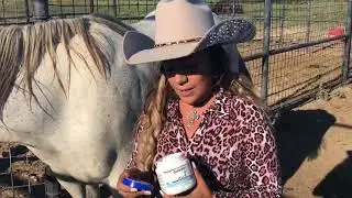 Keyla Polizelo usa e recomenda GeloVet, da Lavizoo!