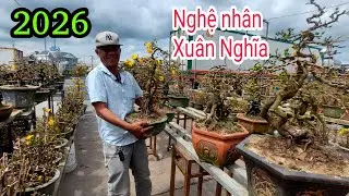Mai vàng Chào bán của Nghệ nhân Xuân Nghĩa LH:0935853733