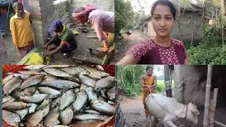 সুন্দরবনের প্রত্যন্ত গ্রামে সারাদিন মিস্ত্রি কাজ করলো বাড়িতে/নিরামিষের দিন মাছ ভাজা করতে হলো আমাকে।
