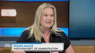 Diana Maas on funding for energy assistance in Wisconsin | Here & Now