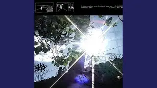 fractured home