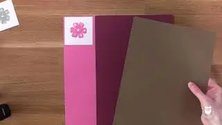 Vorstellung InColor Bonbonrosa