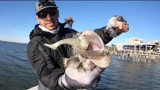 Lures vs Live Bait (Inshore Slam Tournament Results)