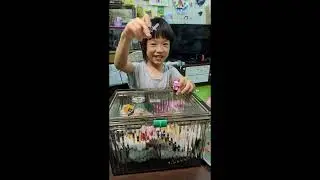 濯組樂高-LEGO Minecraft 21268 豬寶寶小屋(番外篇)