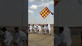 Гонки #выставка собак #гонки