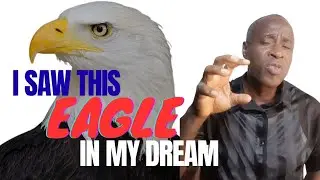 SEEING AN EAGLE LAND IN YOUR DREAM || DREAM OF AN EAGLE || SPIRITUAL MEANING OF EAGLE DREAM