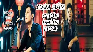 CẠM BẪY CHỐN PHỒN HOA | Nhạc Đời Blues Rock | Nghe Là Tỉnh | Người Khôn Không Say Ánh Đèn #music