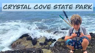 Exploring Tide Pools at Crystal Cove - There were crabs and mystery creatures!!