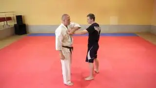 Prawdziwe znaczenie podstawowych bloków karate