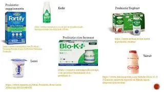 Role of Probiotics in Elderly