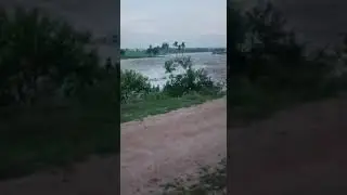 Nagarjuna sagar project left canal breached damage at Nidamanoor📍 || Nalgonda || Telangana #alert 👇🔔