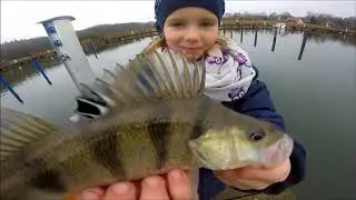 Raubfische Angeln in Häfen auf Rügen