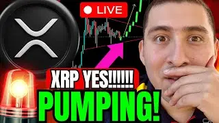 XRP BREAKING LIVE NOW🔴WHALES BUYING CRYPTO