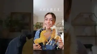 &laquo;Дух: Жеребец из Симаррона&raquo; &mdash; блокбастер + игровой набор &laquo;Компания плюшевых мишек из Беверли-Хиллз&raquo;
