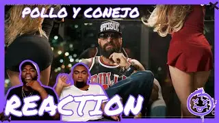 POLLO Y CONEJO | Reaccion