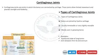 Cartilaginous Joints Explained | Types, Examples & Functions | Nursing Anatomy
