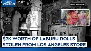 Labubu Doll News | $7k Worth Of Labubu Dolls Stolen From Los Angeles Store, Authorities Say