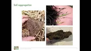 Soil Sessions: Soil Health Indicators