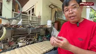 ผืนระนาดทุ้ม และ เกร็ดความรู้เรื่องไม้ไผ่ บ้านดนตรีไทยรื่นเริง