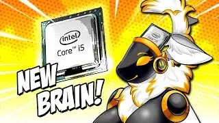 I Gave Juno a Brain