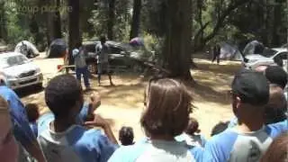 Menegesha Forest 2013