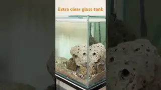 Extra clear glass aquarium 4fit.                #fish #fishaquarium #fishtank