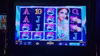 Massive 100x win on Icy Wilds!
