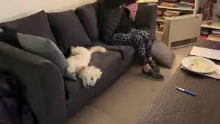 Dog sings along with Sandra May Flowers - Britain&rsquo;s Got Talent audition