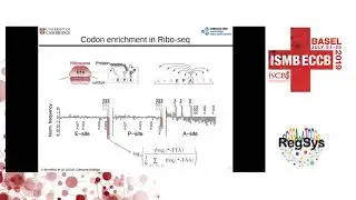Gene regulation through optimization of codon usage... - Susanne Bornel&ouml;v - RegSys - ISMB/ECCB 2019