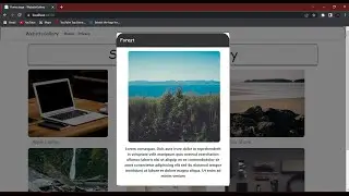 ASP.NET Core Website Image Gallery - 1 -  Introduction to the Web Gallery project in ASP.NET Core.