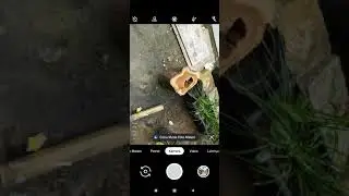 settingan gcam bulkin 16 siang hari