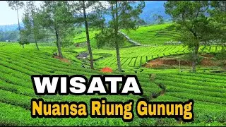 TIPS WISATA KE RIUNG GUNUNG