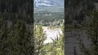Helicopter Water Scoop At Banff May 2023