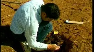 LA NECRÓPOLIS TARTÉSICA DE ALCALÁ DEL RÍO
