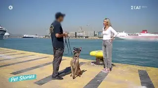 Τα καθήκοντα και τα χαρακτηριστικά των σκύλων Κ9 του Λιμενικού – Η σχέση με τον χειριστή