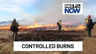 Bureau of Land Management to do controlled burns in Oregon this weekend